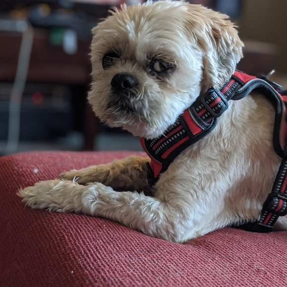 Meet your Posher, Cc - Picture 1 of 1